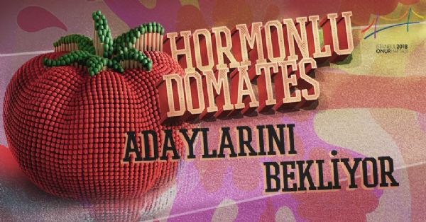 Haber | Hormonlu Domates adayn belirle